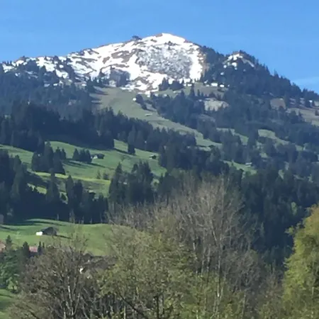 Chalet Sur Le Mont Chalet Zweisimmen