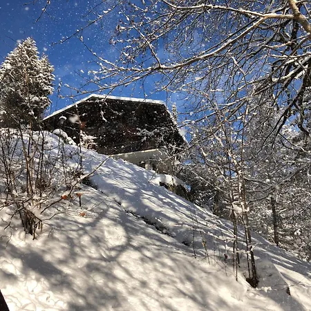 Chalet Chalet Sur Le Mont *