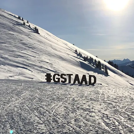 Chalet Sur Le Mont Σαλέ Zweisimmen