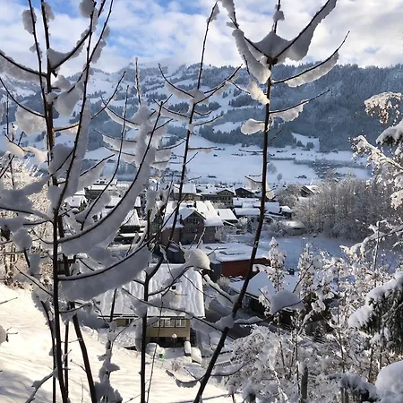 Chalet Sur Le Mont